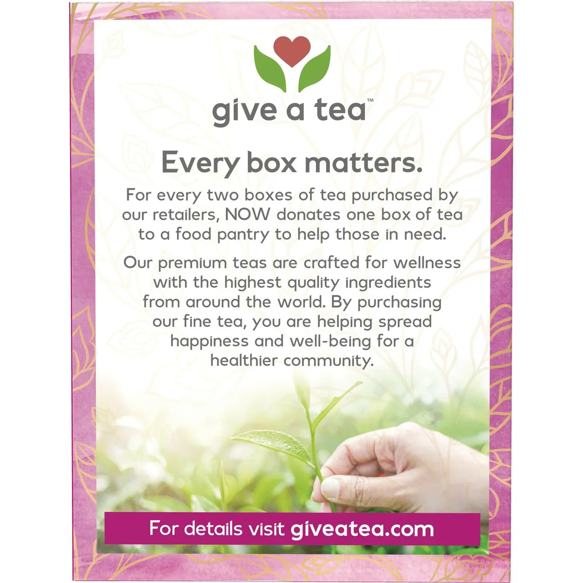 Ojibwa Native American Herbal Tea
