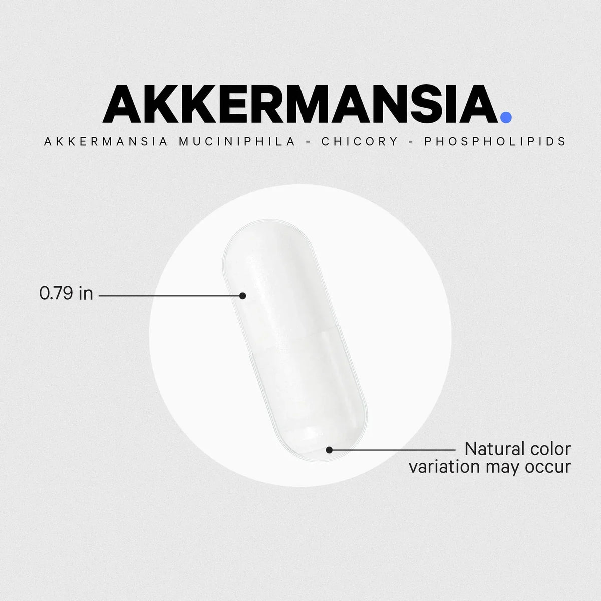 Akkermansia Probiotic & Prebiotic