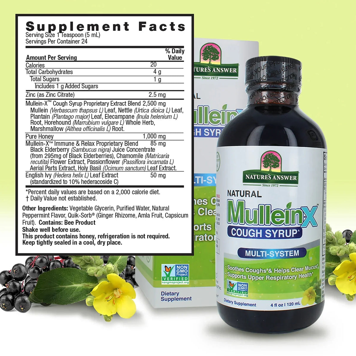 Natural Mullein-X Cough Syrup