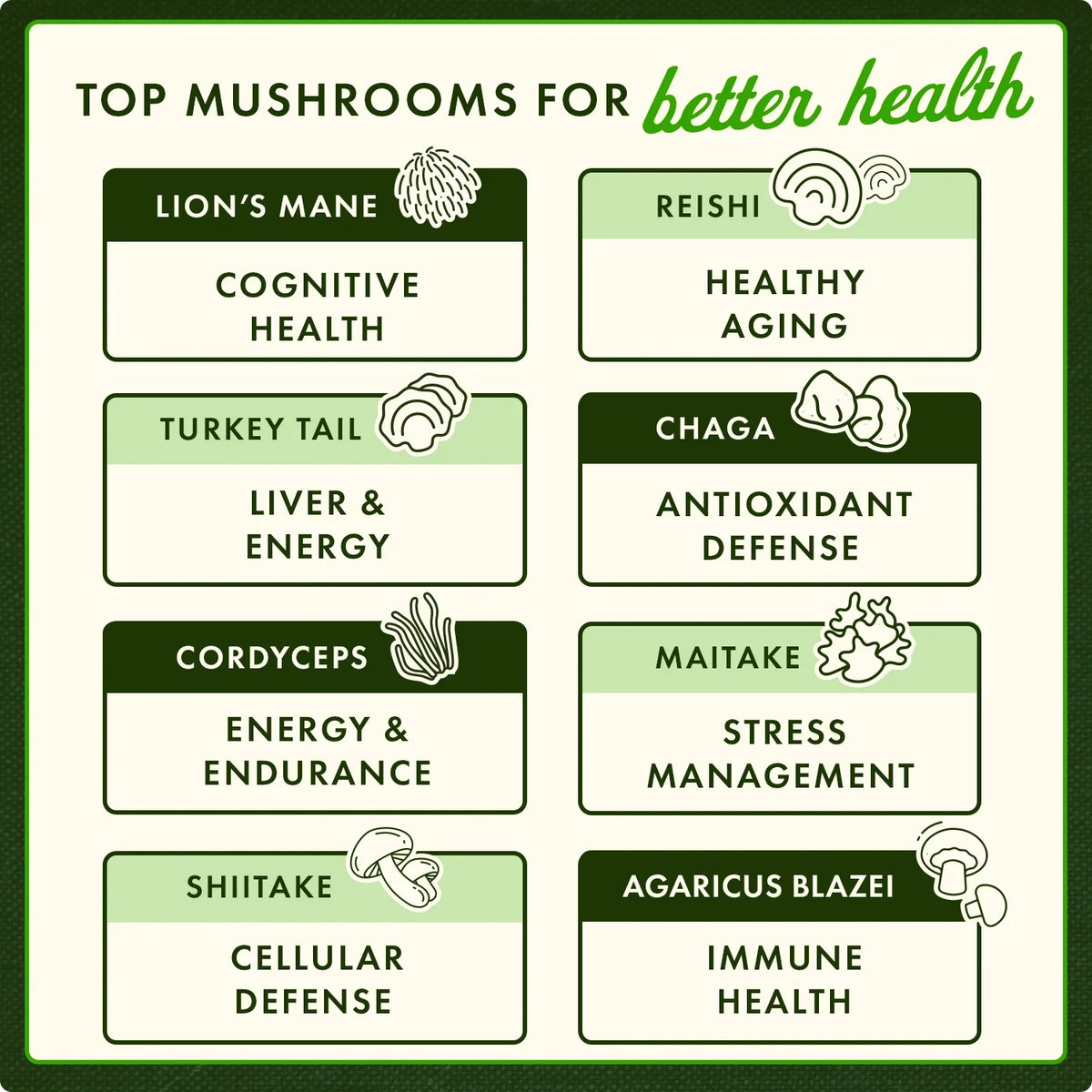 Reishi Mushroom Extract - Standardized