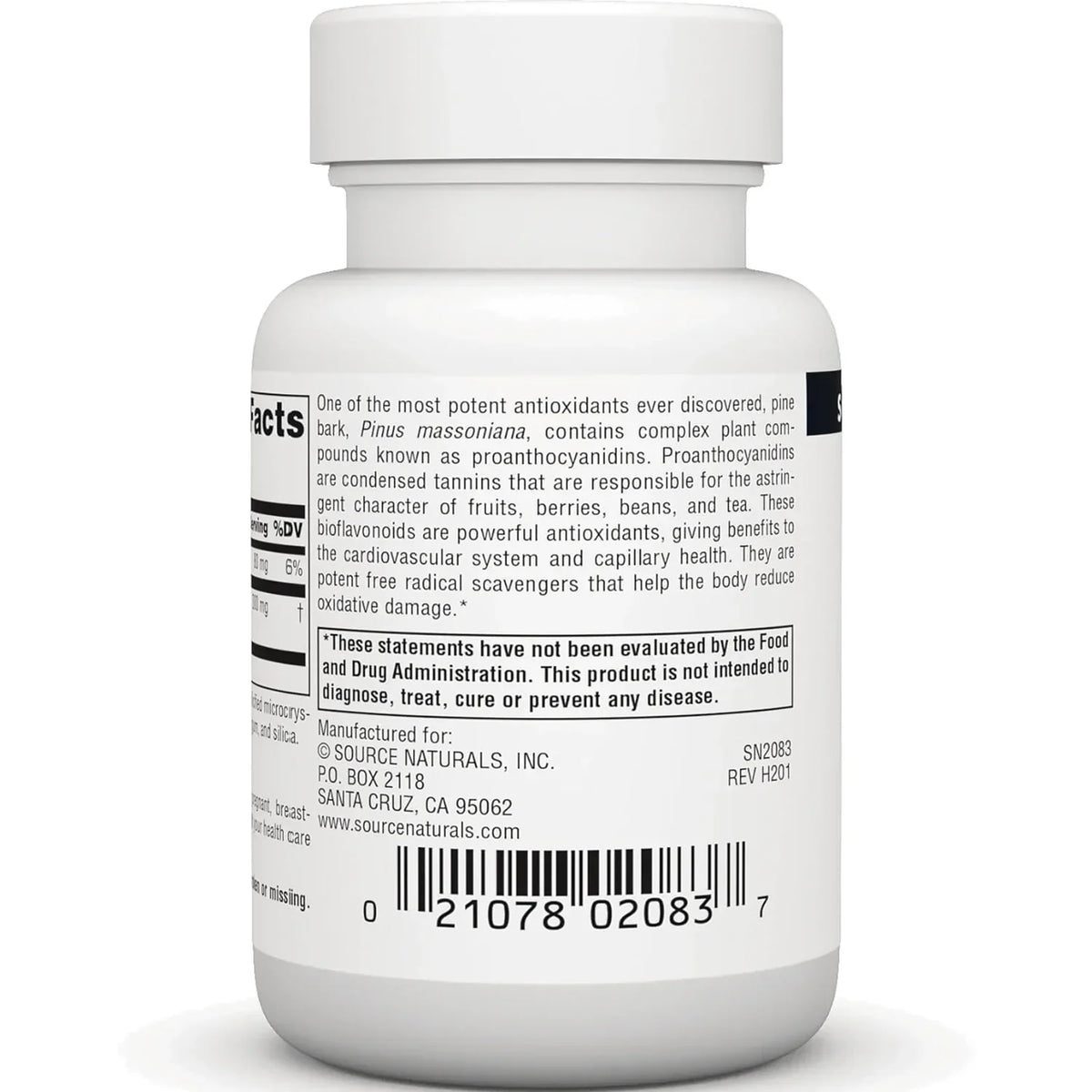 Pine Bark Extract