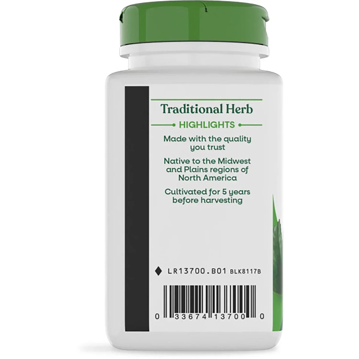 Goldenseal Herb