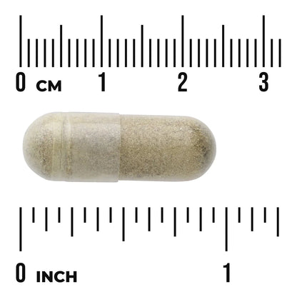 Olive Leaf Extract