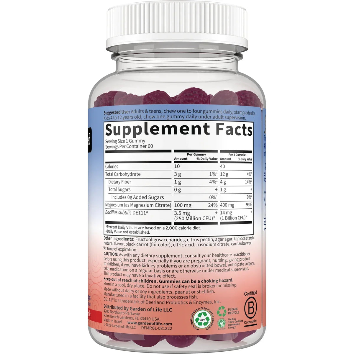 Magnesium with Pre & Probiotics Gummies - Raspberry