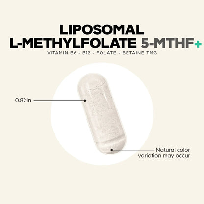 Liposomal L-Methylfolate 5-MTHF+