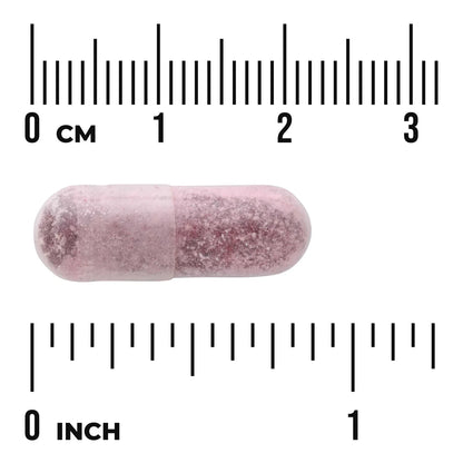 Women's Daily Probiotic + Prebiotic FOS