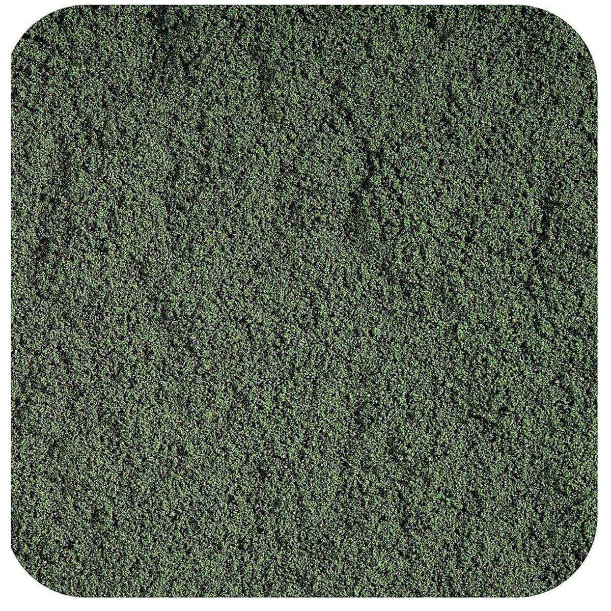 Spirulina Powder Organic