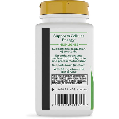 High Potency Vitamin B6