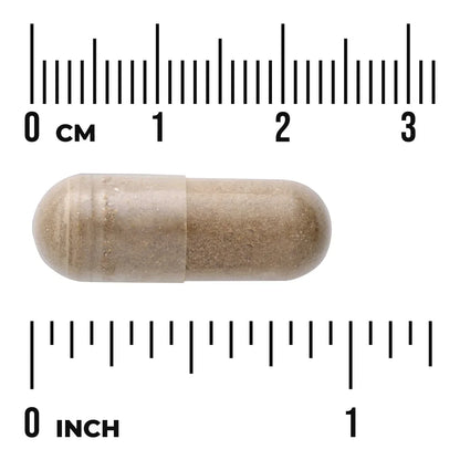 Full Spectrum Uva Ursi Leaf
