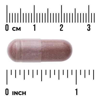 Red Wine Extract - Standardized
