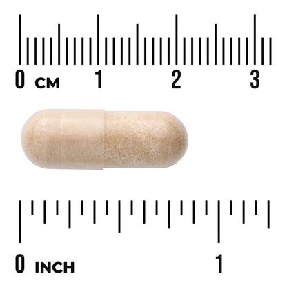 Horse Chestnut Extract - Standardized