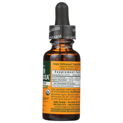 Super Echinacea