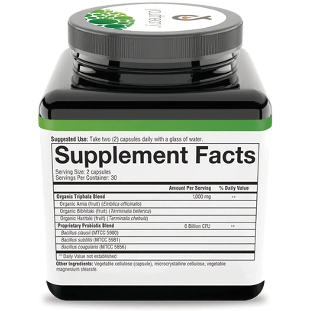 Spore Probiotic