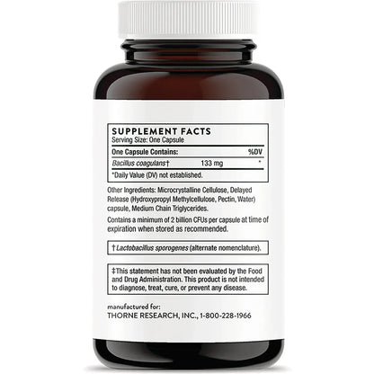 Bacillus Coagulans