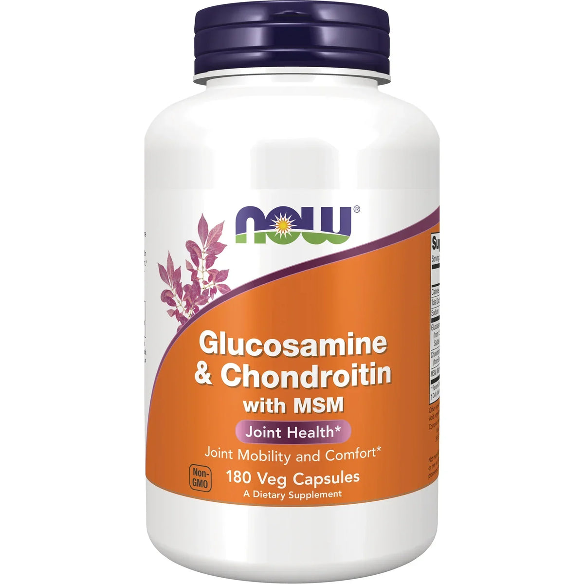 Glucosamine & Chondroitin with MSM