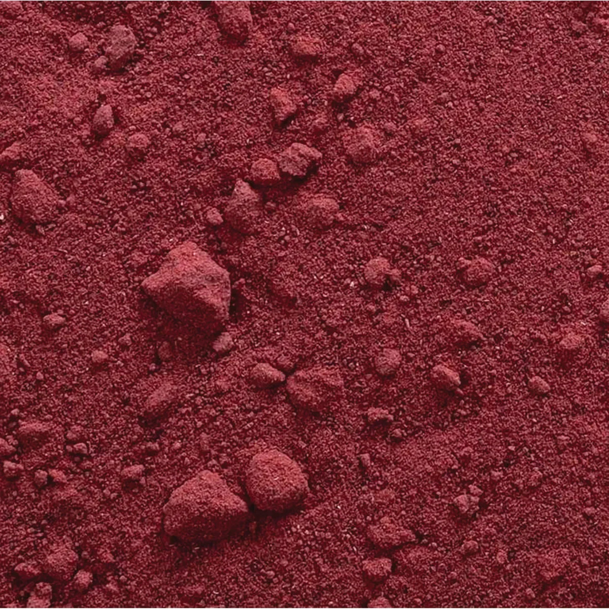 Organic Beet Powder