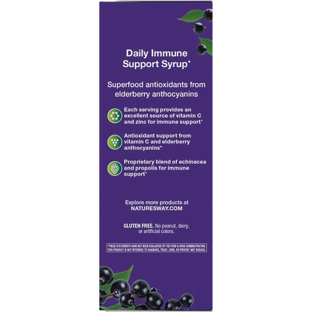 Sambucus Immune Elderberry Syrup