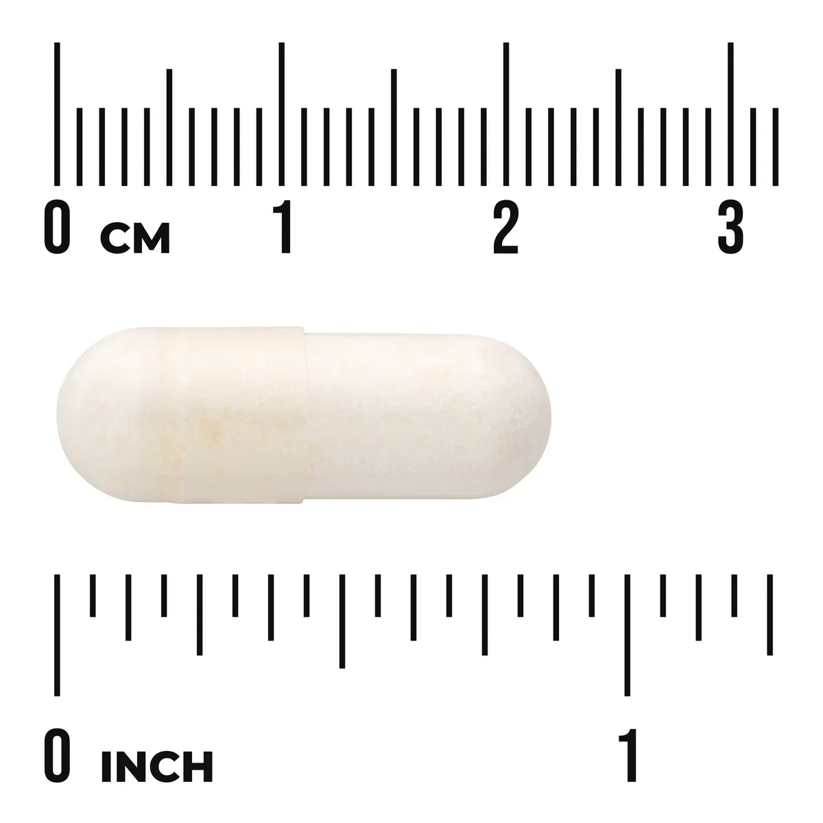 L. Reuteri Plus